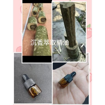 沈香萃取精油-隨身瓶