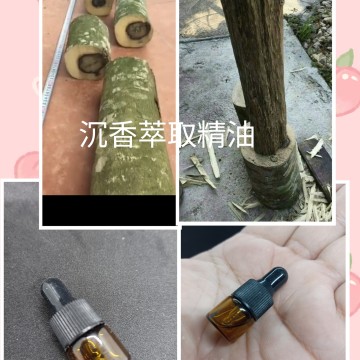沈香萃取精油-隨身瓶